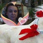 Profil de Asude